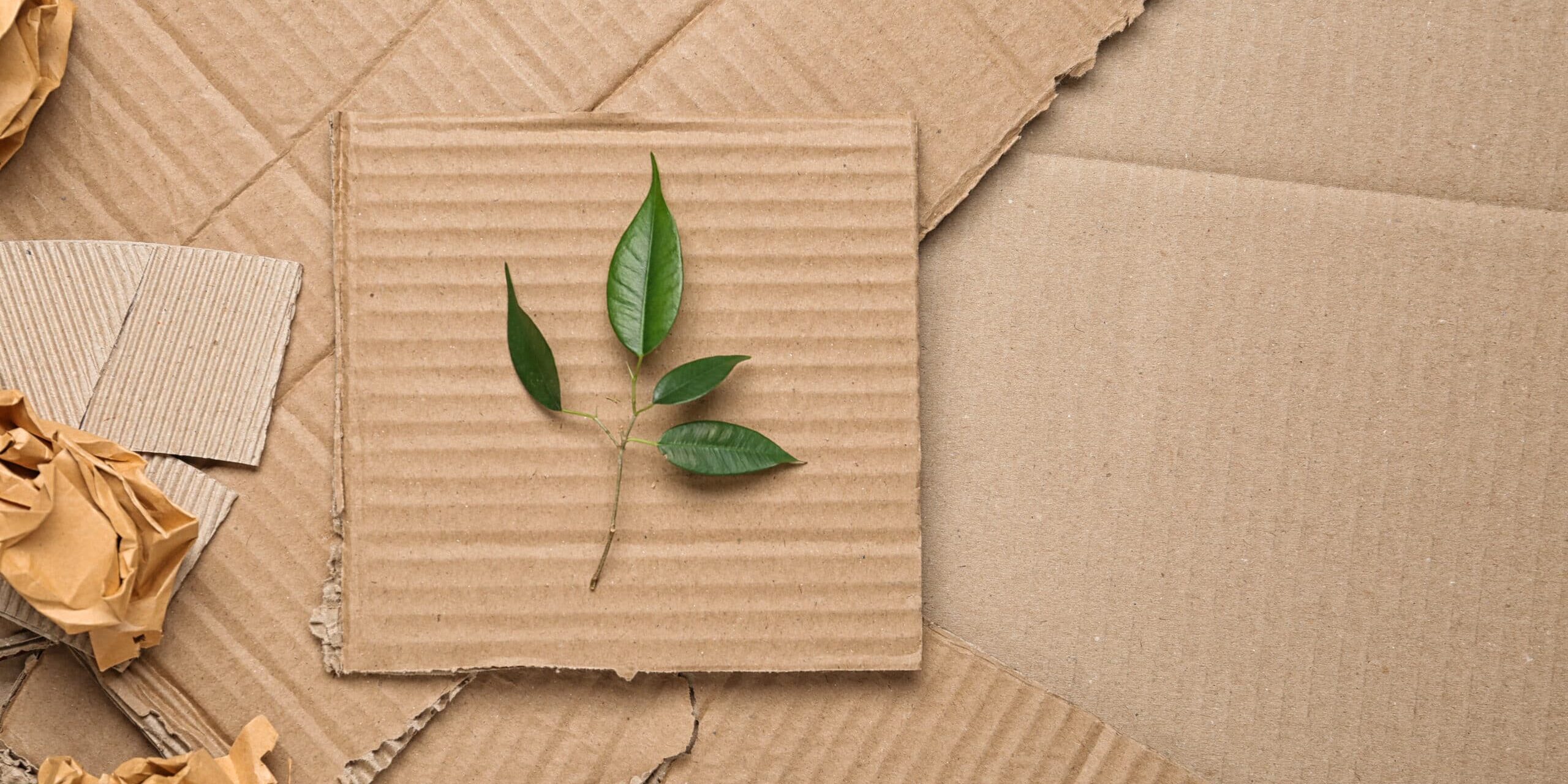 Embalaje sostenible: una necesidad urgente